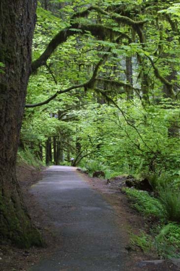 path3